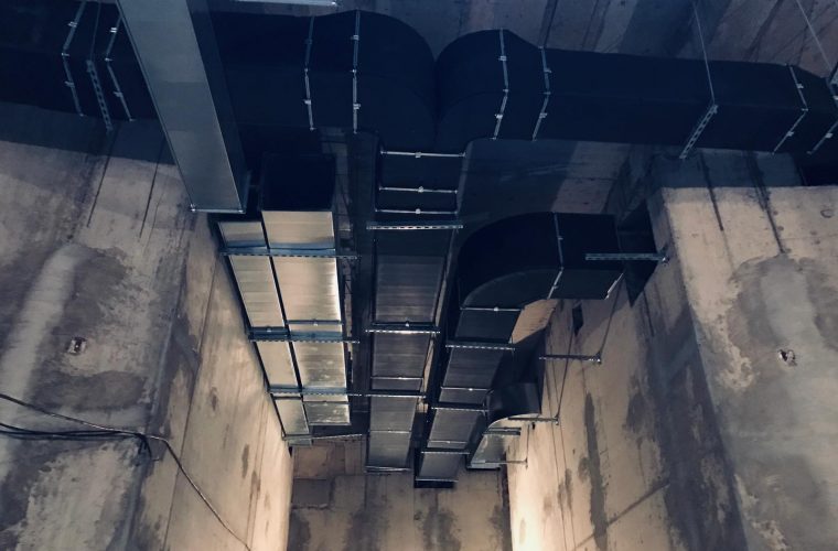 WhatsApp Image 2022-08-08 at 12.14.52