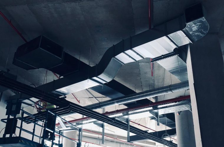 WhatsApp Image 2022-08-08 at 12.14.53