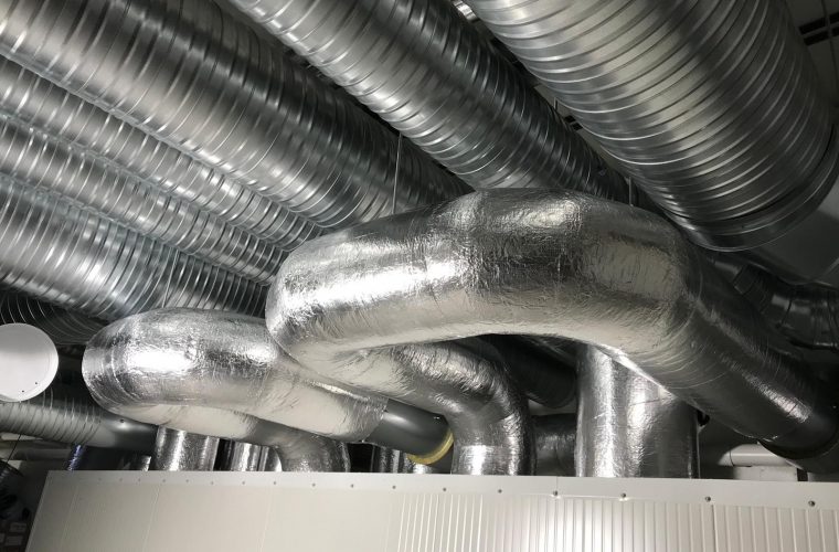 WhatsApp Image 2022-08-08 at 12.15.00 (1)